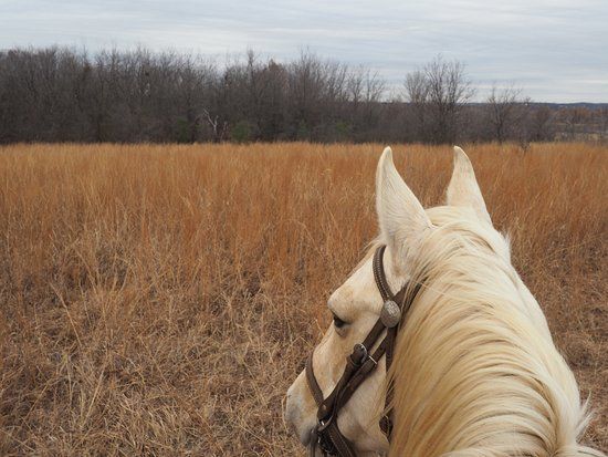 Marshall Creek Ranch